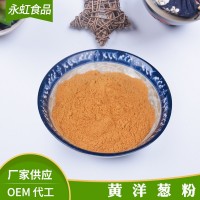 厂家供应 多种规格 脱水黄洋葱粉 调味黄洋葱粉 可定制
