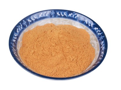 厂家供应 多种规格 脱水黄洋葱粉 调味黄洋葱粉 可定制图4