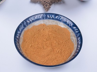 厂家供应 多种规格 脱水黄洋葱粉 调味黄洋葱粉 可定制图5