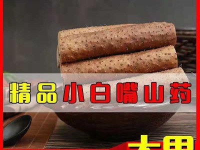 蠡县小白嘴山药批发麻山药淮山药铁棍山药蒸煮做菜水山药产地直发图3
