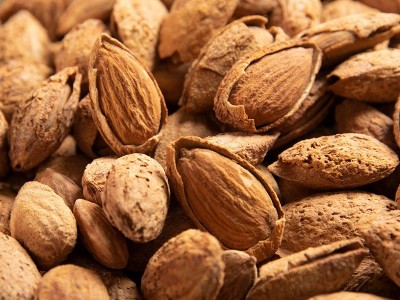 薄壳巴旦木带壳杏仁奶香薄壳开口NP手剥零食坚果干果厂家批发图2