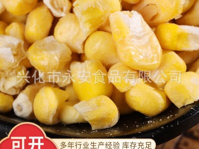 FD冻干甜玉米 大量批发脱水蔬菜 冷冻干燥玉米粒 热饮冻干玉米图2