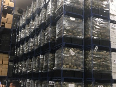马来西亚正宗猫山王D197 整件 新果进口当季液氮冷冻榴莲图2