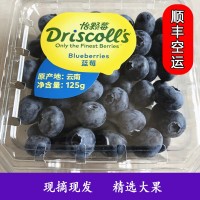 顺丰现货 新鲜现摘云南怡颗莓蓝莓 新鲜水果果径18mm+ 一件代发