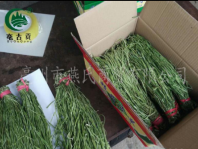 义门无叶义门苔干贡菜土特产山蛰菜贡菜山野菜脱水蔬菜土特产图4