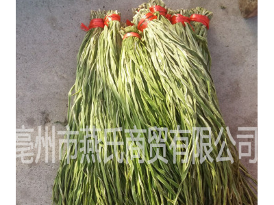 义门无叶义门苔干贡菜土特产山蛰菜贡菜山野菜脱水蔬菜土特产图3