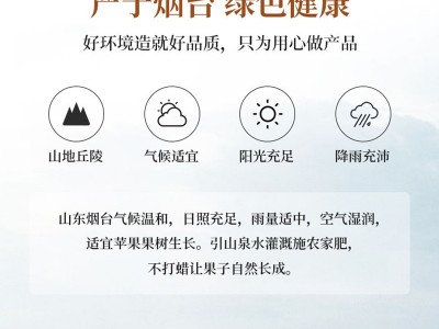 山东黄金奶油富士大果 5斤装带箱新鲜当季奶油富士苹果包邮代发图2