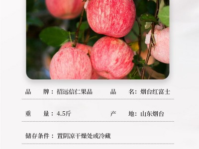 山东黄金奶油富士大果 5斤装带箱新鲜当季奶油富士苹果包邮代发图3