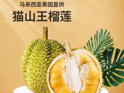 马来西亚进口猫山王榴莲D197新鲜树上熟带壳液氮冷冻榴莲可代发图5