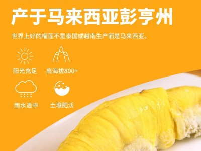 猫山王榴莲D197马来西亚进口新鲜树上熟带壳液氮冷冻榴莲图3