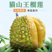 【顺丰空运】马来西亚进口猫山王榴莲D197树上熟水果液氮冷冻榴莲
