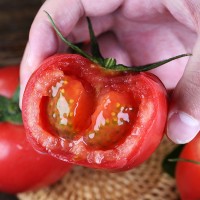 攀枝花纱瓤西红柿 番茄新鲜水果粉果西红柿 新鲜蔬菜支持一件代发