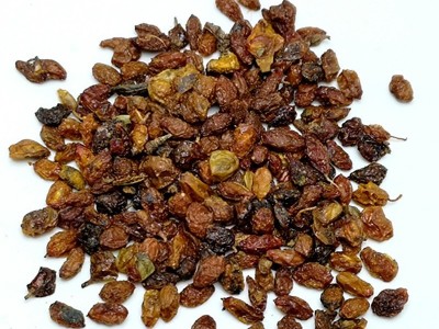中药材新疆沙棘无熏硫药用沙棘果沙棘茶果散装沙棘粉沙棘籽油泡茶图3