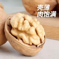 新货薄皮核桃厂家货源500g送夹子手剥核桃仁肉质饱满 代发