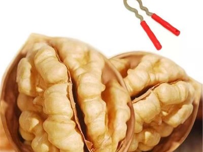 新货薄皮核桃厂家货源500g送夹子手剥核桃仁肉质饱满 代发图2
