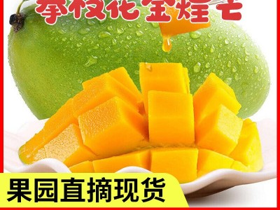 攀枝花大金煌芒果水果整箱现货一件代发批发大芒果图3