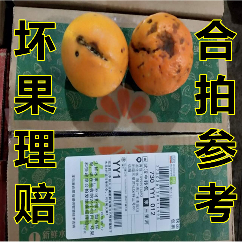 逐波飞鱼坏果理赔照片