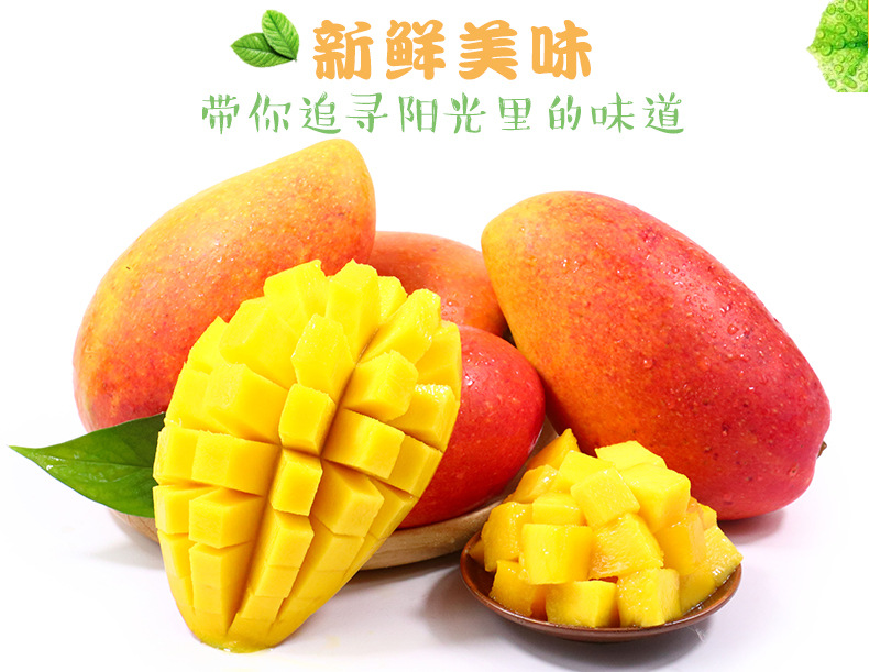 汇图贵妃详情页2019_02.jpg