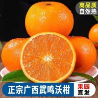 【品质大果】正宗广西武鸣沃柑新鲜9斤蜜橘子当季整箱桔子包邮10