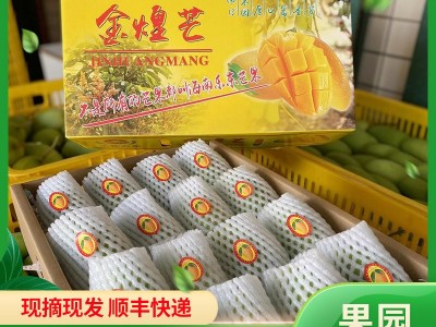 果园直发海南三亚金煌芒水仙芒水果礼盒装时令新鲜水果一件代发图2