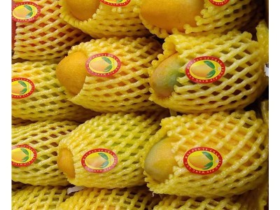 果园直发海南三亚金煌芒水仙芒水果礼盒装时令新鲜水果一件代发图5