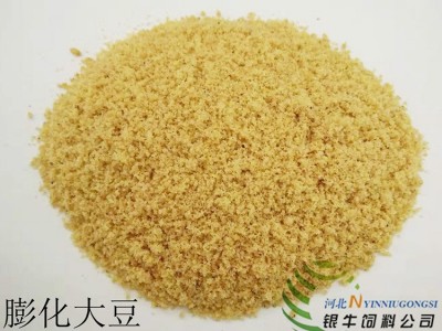 大量批发 膨化大豆 牛羊猪饲料喂养鸡鸭鹅饲料豆粕 膨化大豆饲料图5
