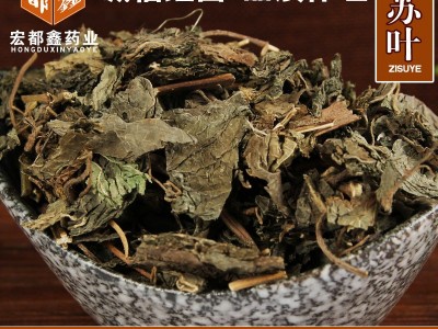 批发供应紫苏叶 紫苏干 紫苏干净无杂质今年新货品质保证量大从优图2