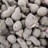 中药材 三叶青 金线吊葫芦 金丝吊葫芦