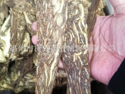 全归 中药材批发 全当归片 甘肃干货 全归片 当归头片图3