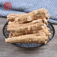 产地货源短支西洋参批发 长支西洋参供应现货西洋参粒头直供