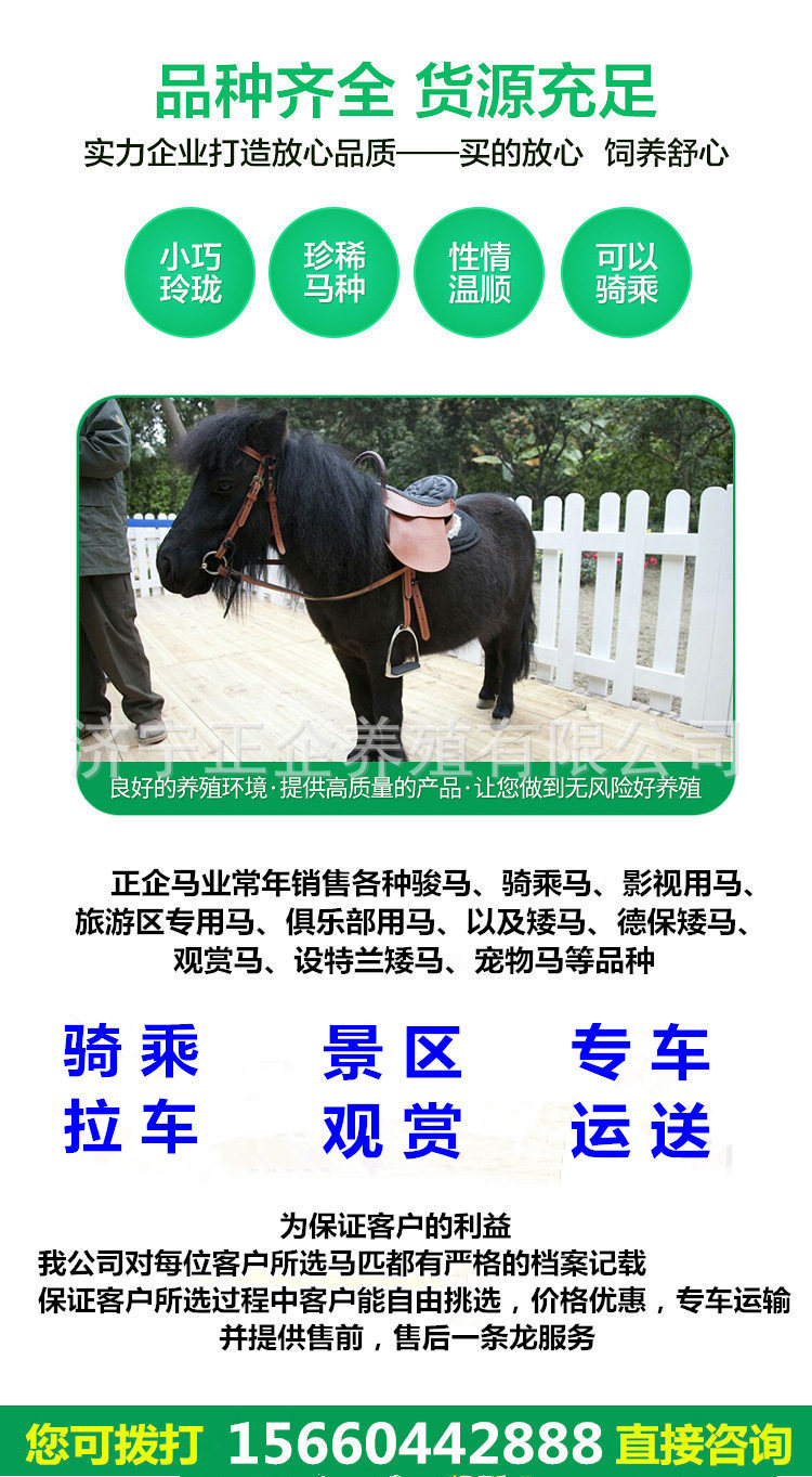 11069941754_2139933807_副本.jpg