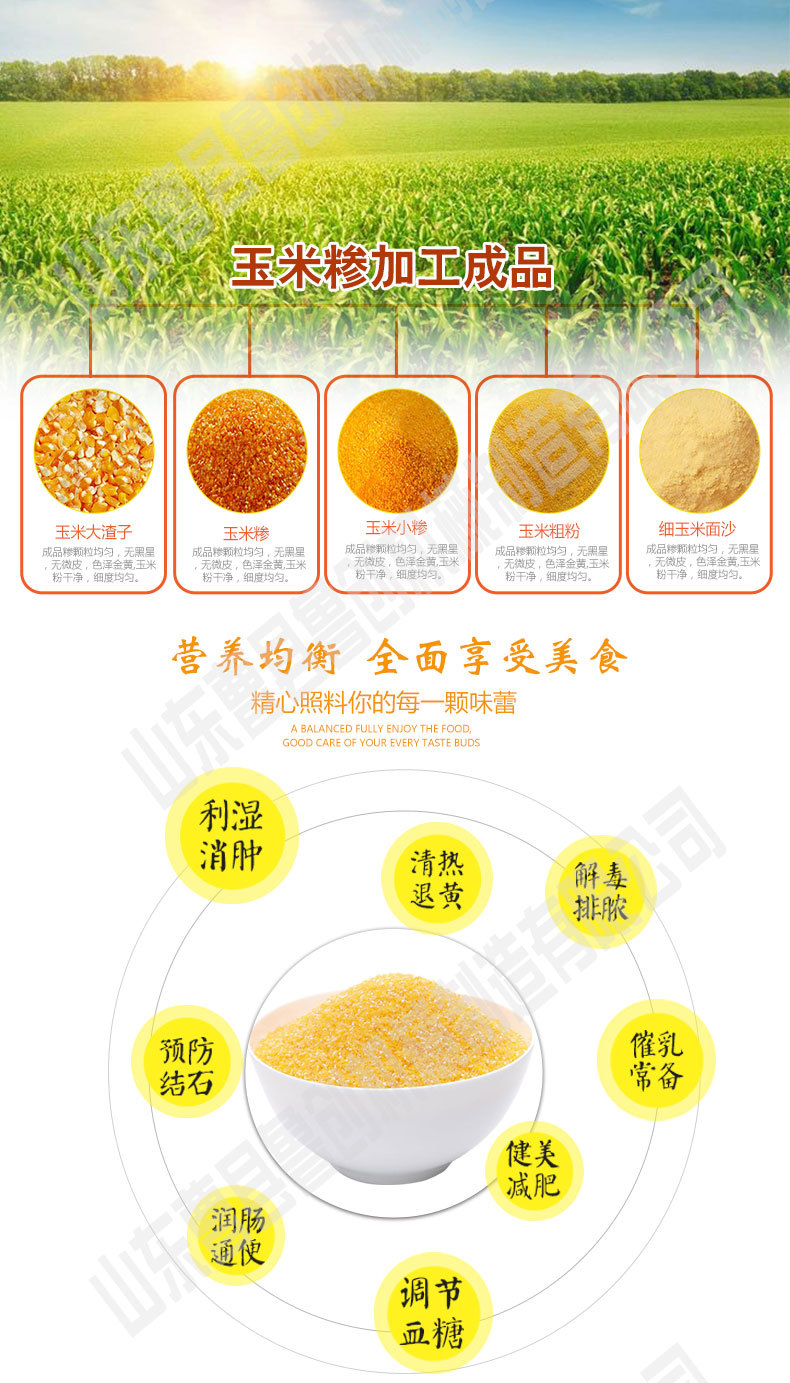 T3型玉米脱皮制糁机 (5).jpg