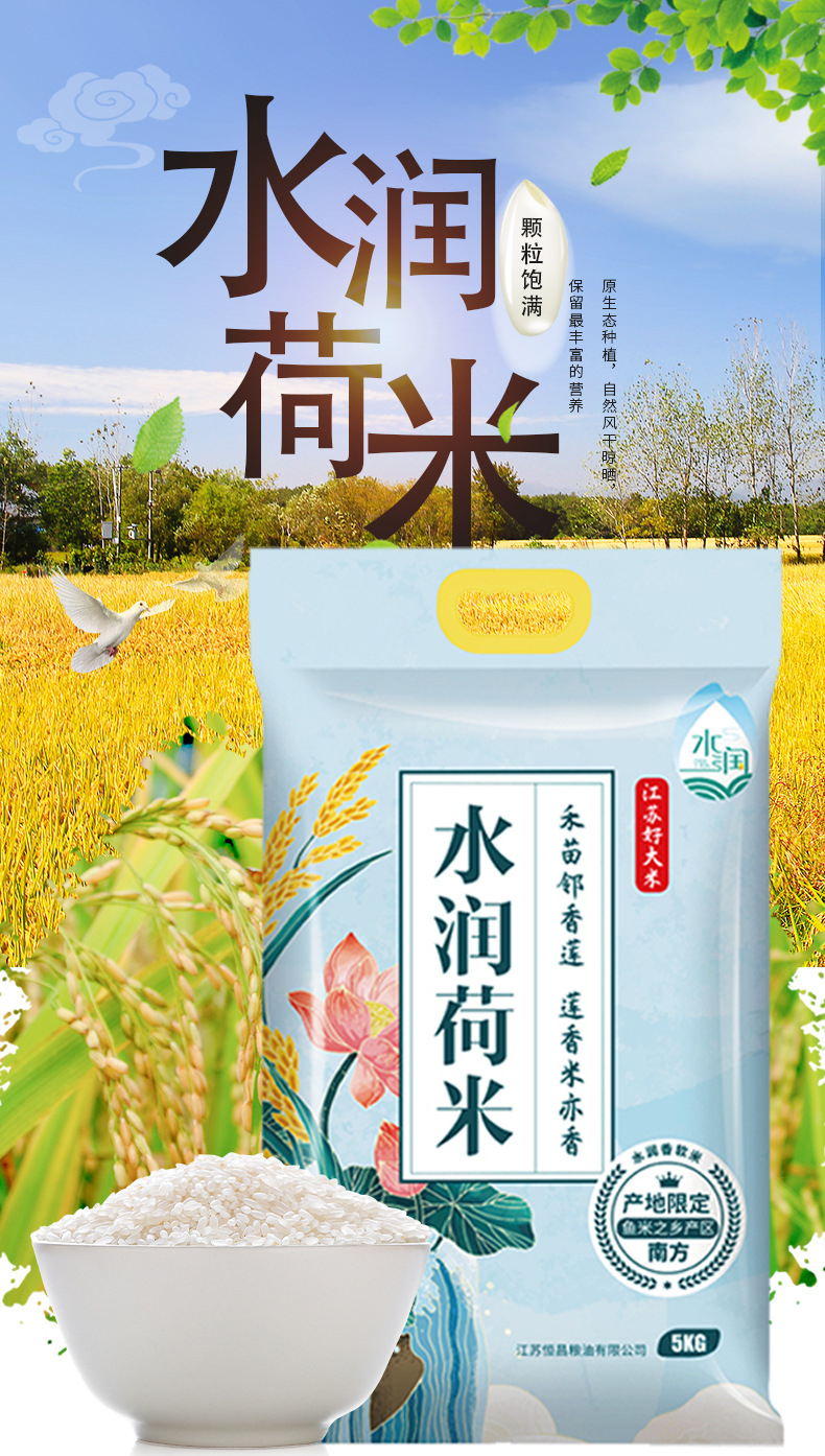 大米1-拷贝副本_01