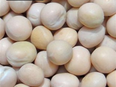 大量 豌豆白豌豆黄豌豆麻豌豆豌豆仁豌豆瓣可发芽一件代发图2