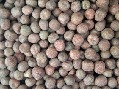 大量 豌豆白豌豆黄豌豆麻豌豆豌豆仁豌豆瓣可发芽一件代发图4