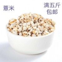 大量批发散装薏米生薏仁米新薏米仁农家500g 五谷杂粮一件代发