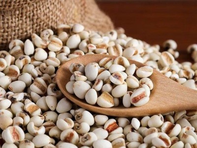 大量批发散装薏米生薏仁米新薏米仁农家500g 五谷杂粮一件代发图3