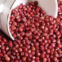 批发农家自产小红豆红小豆散装五谷杂粮批发红豆珍珠豆一件代发