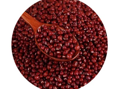 批发农家自产小红豆红小豆散装五谷杂粮批发红豆珍珠豆一件代发图4