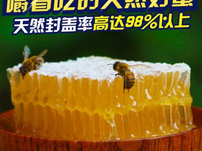 蜂巢蜜深山嚼着吃蜂巢蜂蜜新品蜂窝蜂场蜂蜜新巢蜜批发图1