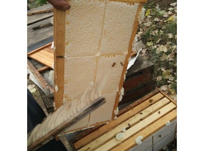 蜂巢蜜深山嚼着吃蜂巢蜂蜜新品蜂窝蜂场蜂蜜新巢蜜批发图4