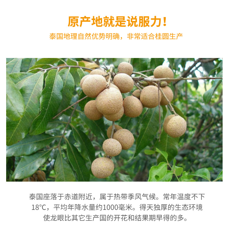 详情页-2.jpeg