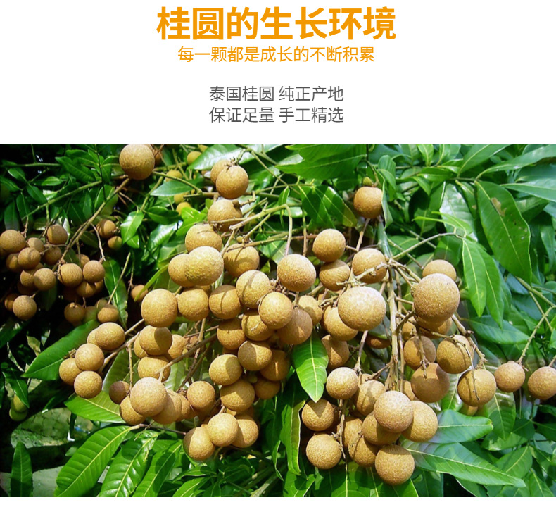 详情页-3.jpeg