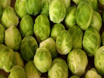 工厂直销新鲜孢子甘蓝迷你小包菜卷心菜包子球芽西餐蔬菜沙拉食材图2