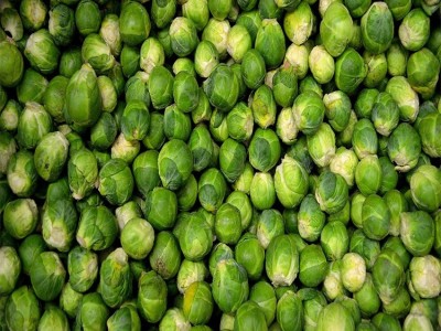 工厂直销新鲜孢子甘蓝迷你小包菜卷心菜包子球芽西餐蔬菜沙拉食材图3