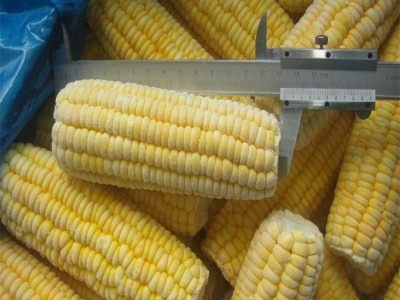 现货批发 速冻水果甜玉米棒冷冻玉米棒新鲜香甜玉米烙食材2.5kg*4图2