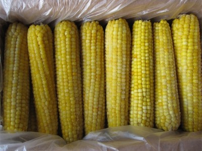 现货批发 速冻水果甜玉米棒冷冻玉米棒新鲜香甜玉米烙食材2.5kg*4图5