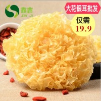 福建食用菌白木耳糯耳500g 古田干货多胶13-15cm银耳代发