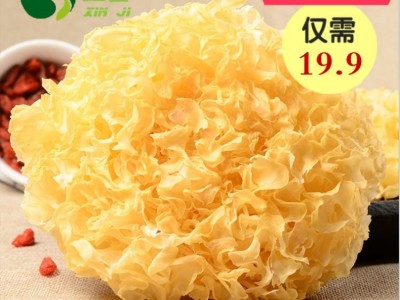 福建食用菌白木耳糯耳500g 古田干货多胶13-15cm银耳代发图2