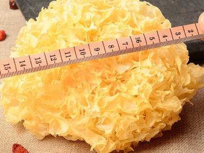 福建食用菌白木耳糯耳500g 古田干货多胶13-15cm银耳代发图4